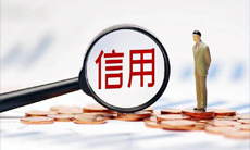 信用管理專業(yè)委員會